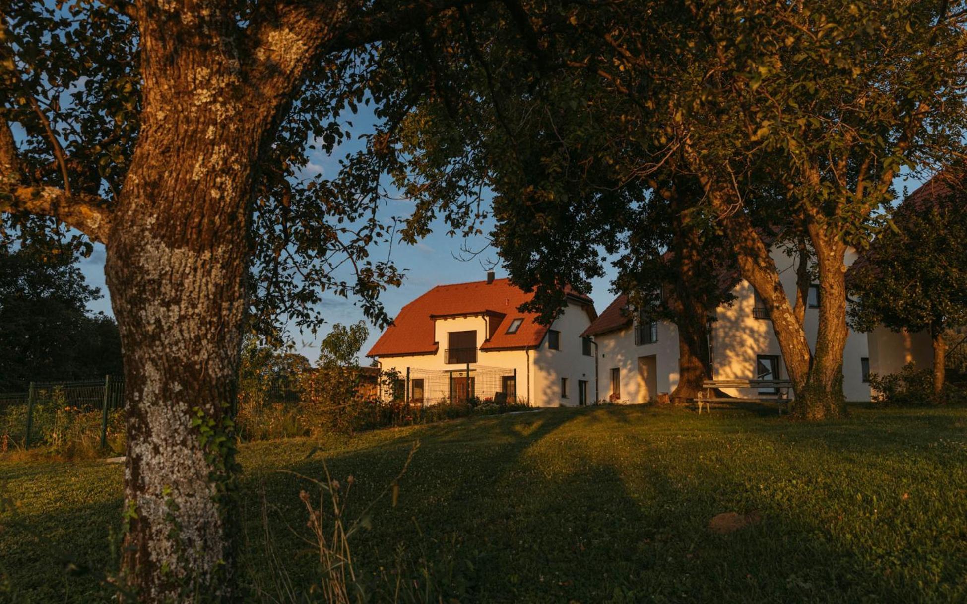 Hisa Na Ravnah Hotel Pišece Exterior foto